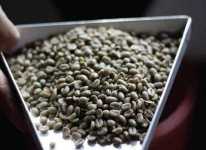 Hacienda Coloma Coffee Day Tour in Fusagasugá From Bogotá - Recap