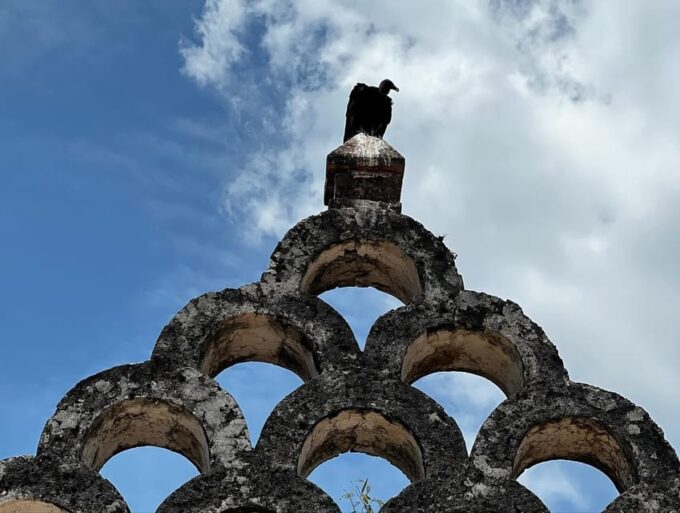 Hacienda Mucuyche Cenotes Tour Oxkintok Mayan Ruins - Frequently Asked Questions