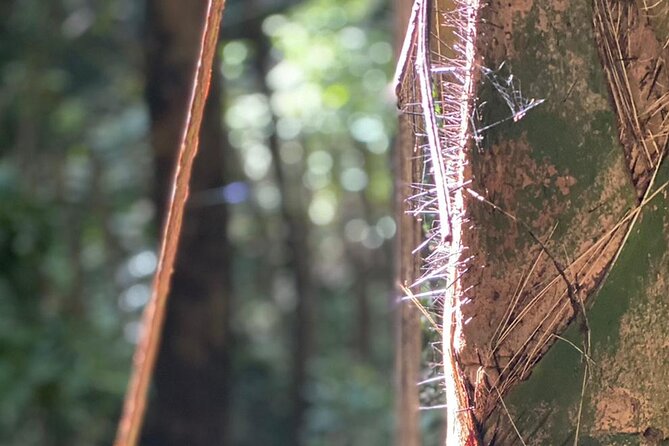 Hackletons Cliff Hike - Pricing and Flexibility