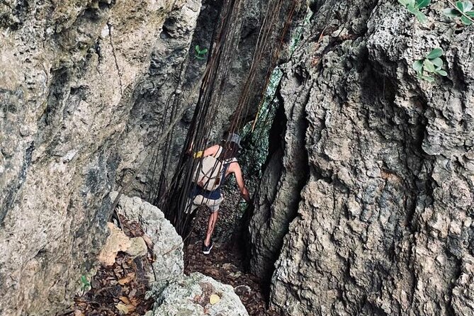 Hackletons Cliff Hike - Tailored Experiences