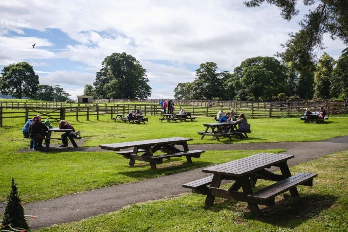 Hadrians Wall: Chesters Roman Fort and Museum Entry Ticket - Recap