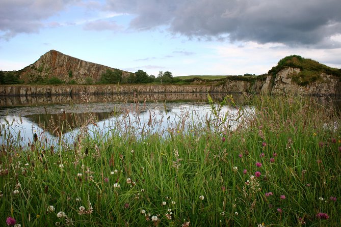 Hadrians Wall Tour Full Day - Discovering Hidden Details and Stories