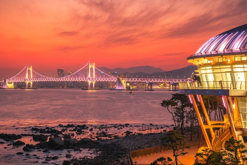 Haedong Yonggungsa Temple, Camellias Island & More - Busan Cinema Center
