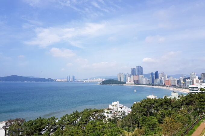 Haedong Yonggungsa Temple, Camellias Island & More - Booking and Payment