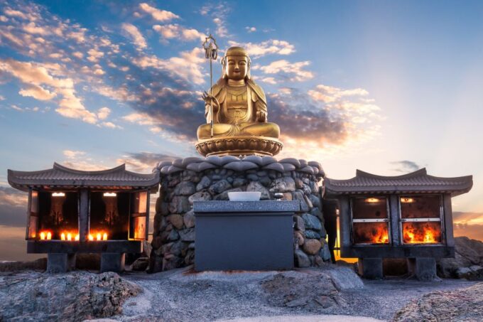 Haedong Yonggungsa Temple, Camellias Island & More - Recap