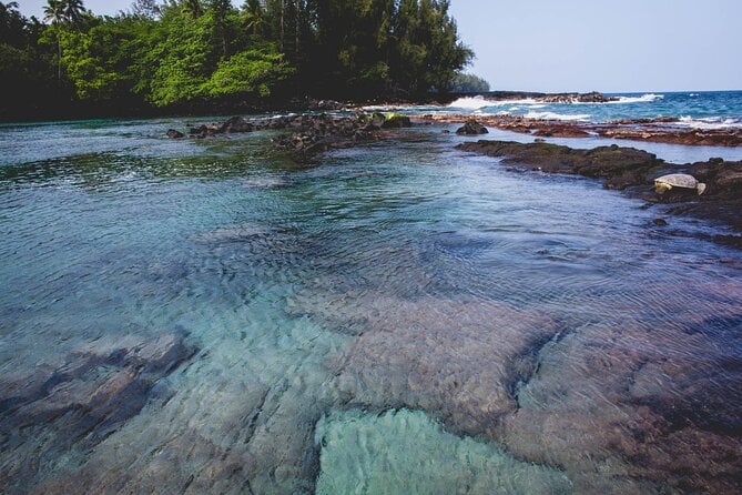 Hā'Ena Activity in the District of Puna - Meeting and Pickup Details