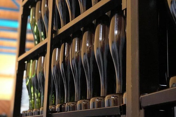 Haft-Day Winery Tour From Zaragoza - Customer Reviews