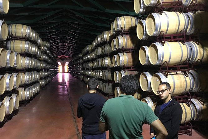 Haft-Day Winery Tour From Zaragoza - Transportation and Accessibility