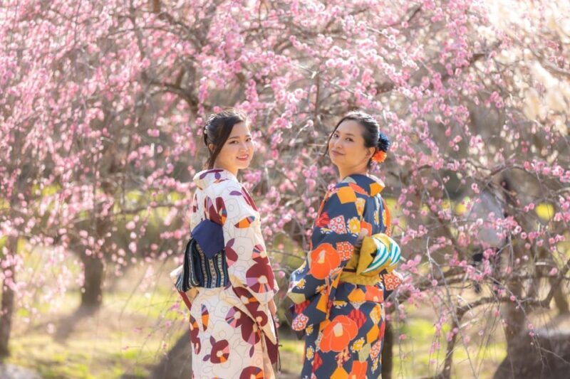 Hagi City: Kimono Experience in the Castle Town - Experience Highlights