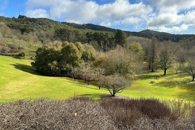 Hahndorf and Hills Wildlife Wonders - Key Points
