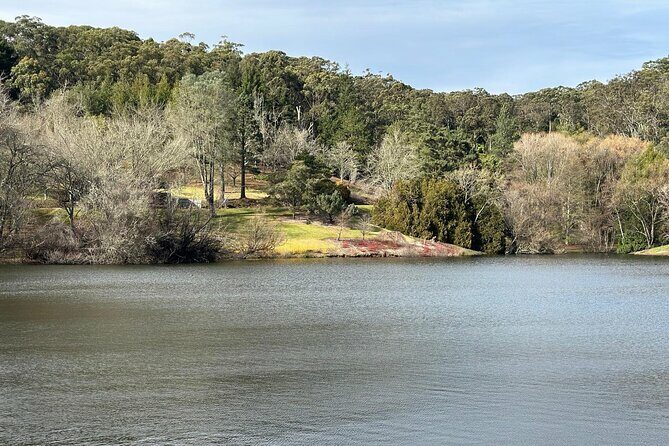 Hahndorf and Hills Wildlife Wonders - An In-Depth Look at the Tour Experience