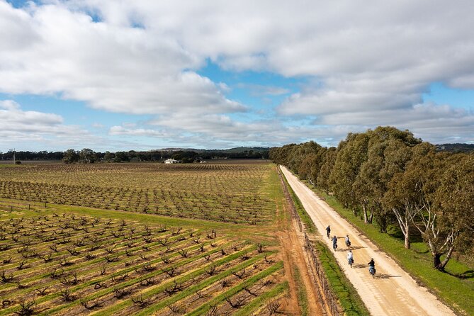 Hahndorf Food and Wine E-Bike Tour - Inclusions