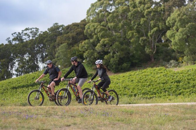 Hahndorf Food and Wine E-Bike Tour - E-Bike Comfort and Ease of Use