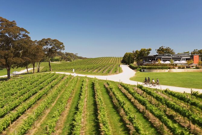 Hahndorf Food and Wine E-Bike Tour - Knowledgeable Guides and Friendly Expertise
