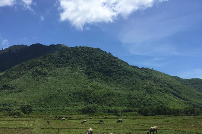 HAI VAN PASS MOTORBIKE TOUR - Top Gear Experience - Highlights of the Route
