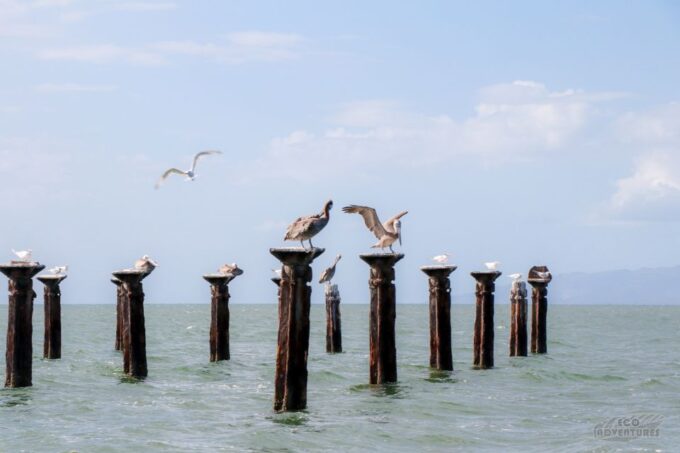 Haitises & Montaña Redonda: Natures Beauty Tour - Transportation and Activities