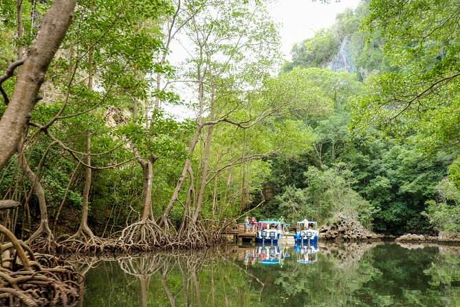 Haitises National Park and Montaña Redonda (Full Day) - Meeting and Pickup Details