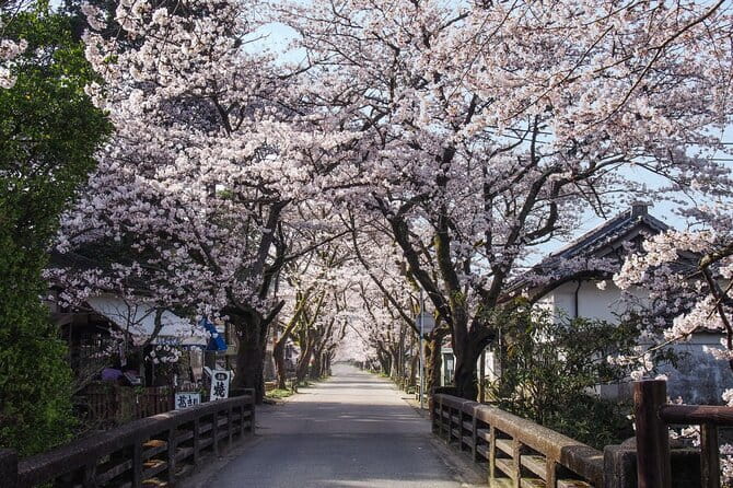 Hakata Old Town Walking Tour Tracing the True History of Fukuoka - Discovering Alternative Destinations and Flexibility