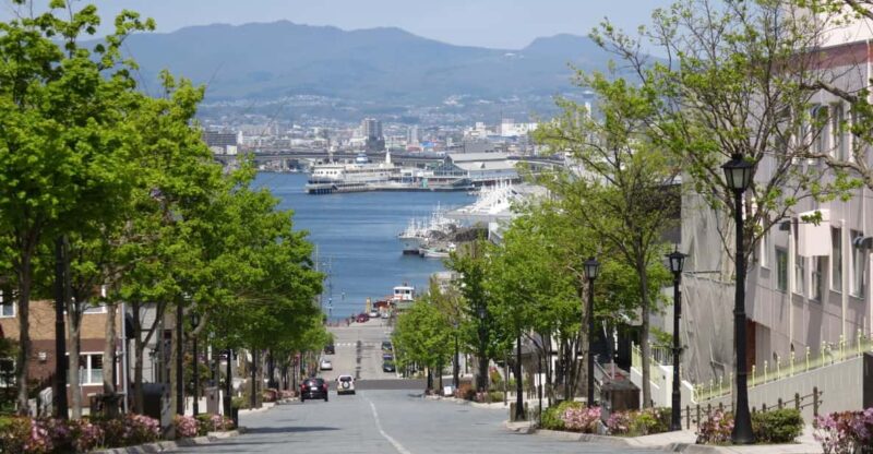 Hakodate: a Half-Day Tour With Government Licensed Guide - Important Information