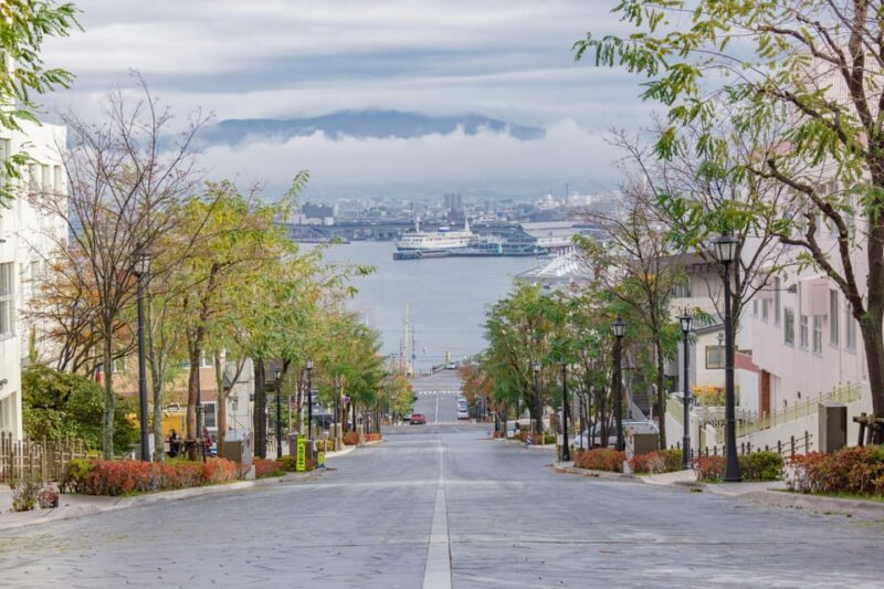 Hakodate: Cultural and Historical Tour (In a Moomoo Taxi!) - FAQ