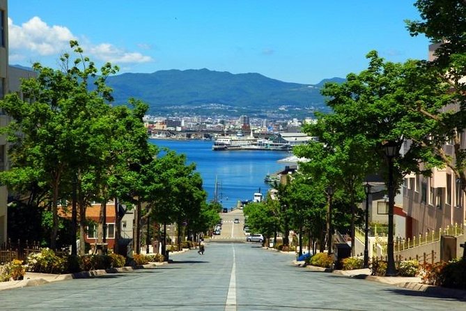 Hakodate Half-Day Private Tour With Government-Licensed Guide - Customizable Tour Options