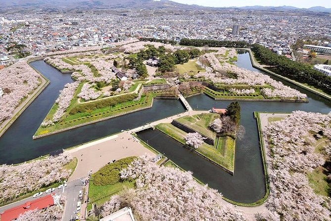 Hakodate Half-Day Private Tour With Government-Licensed Guide - Goryokaku Park Visit