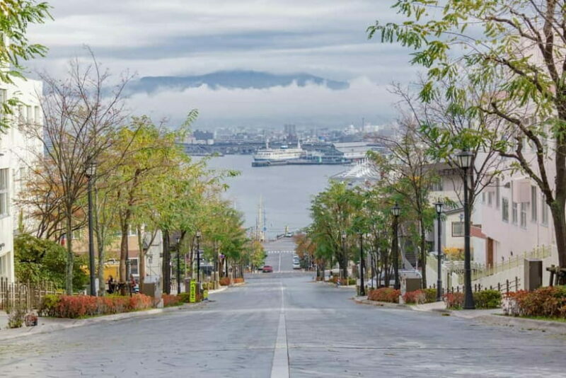 Hakodate Highlights Tour 4 Hours - Practical Details and Value
