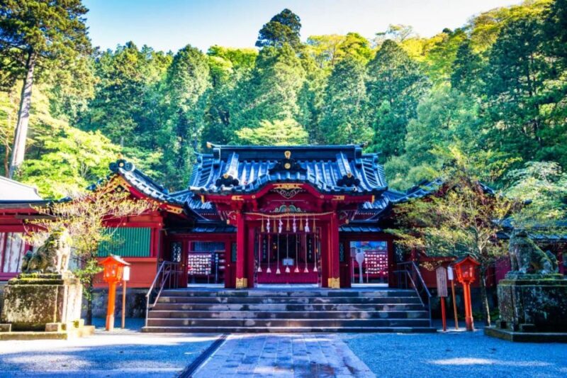 Hakone: 10-hour Customizable Private Tour - Customizable Itinerary Possibilities