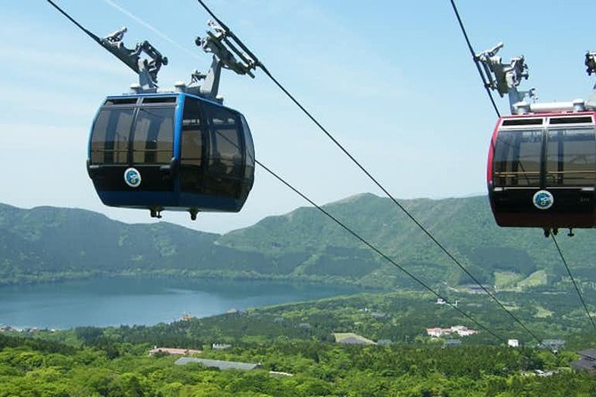 Hakone 6 Hour Private Tour With Government-Licensed Guide - Included and Excluded Expenses