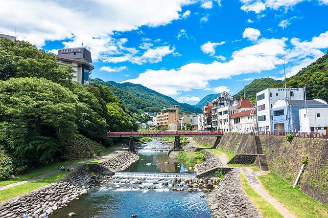 Hakone 6 Hour Private Tour With Government-Licensed Guide - Tour Duration and Flexibility