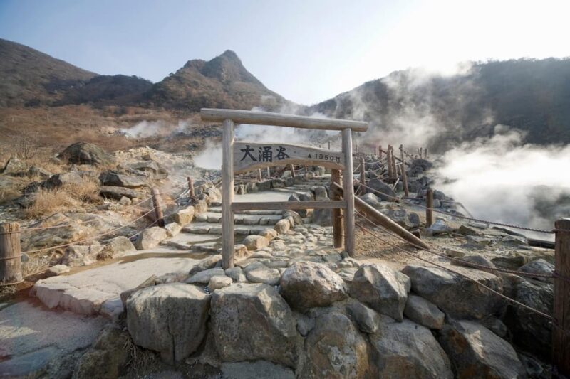 Hakone Adventure Tour (With English/Japanese Speaking Guide) - Included Services