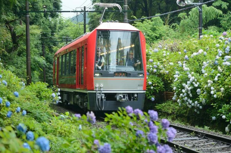 Hakone and Kamakura: 3-day Rail Pass - Key Points