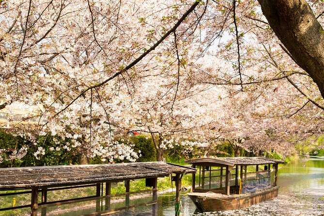 Hakone and Mt. Fuji Day Trip With Private Vehicle - Hakone Open-Air Museum