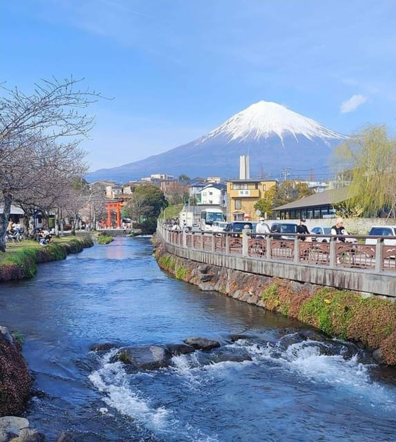 Hakone and Mt Fuji Private Tour With English Speaking Driver - Breathtaking Scenery
