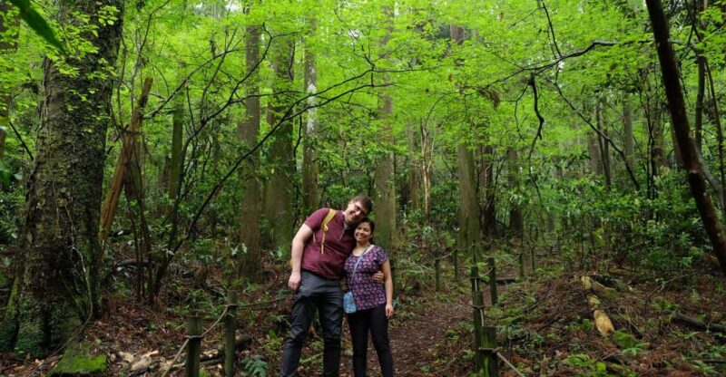 Hakone: Forest Bathing Hike With Lake Ashi and Mt. Fuji View - Key Points