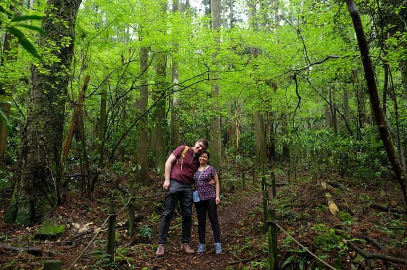 Hakone: Forest Bathing Hike With Lake Ashi and Mt. Fuji View - Refreshing Amasake at the Historic Teahouse