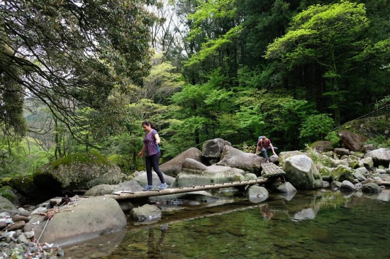 Hakone: Forest Bathing Hike With Lake Ashi and Mt. Fuji View - Capturing the Lake Ashi and Mt. Fuji View