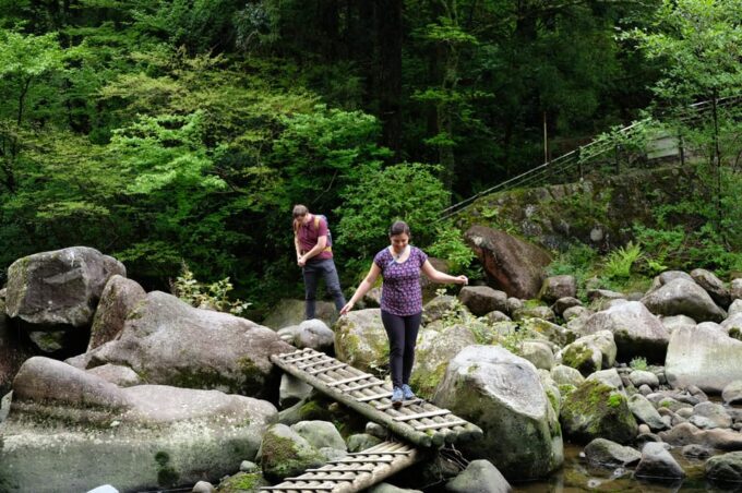 Hakone: Forest Bathing Hike With Lake Ashi and Mt. Fuji View - Transportation and Accessibility Information