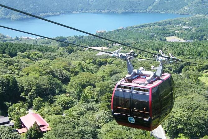 Hakone FreePass, 2-3 Days Japan - Accessibility and Participation Requirements