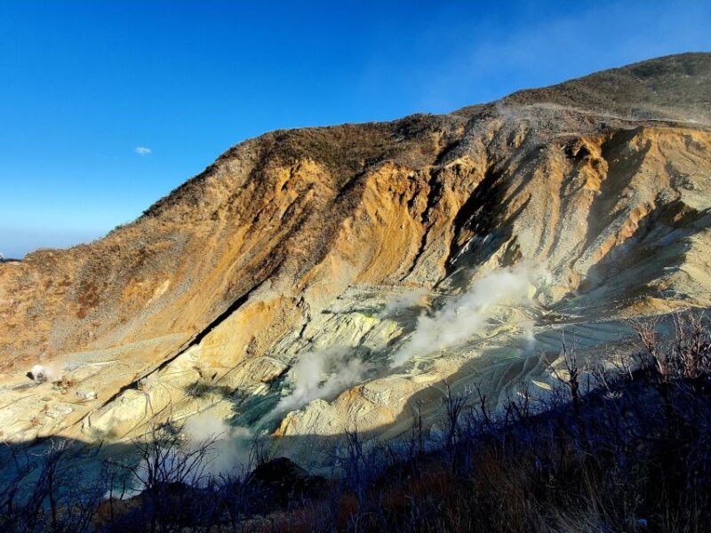 Hakone: Full Day Private Tour With English Guide - Exclusions