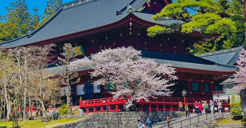 Hakone: Full Day Private Tour With English Speaking Driver - Inclusions in the Tour