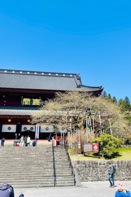 Hakone: Full Day Private Tour With English Speaking Driver - Hakone Open-Air Museum