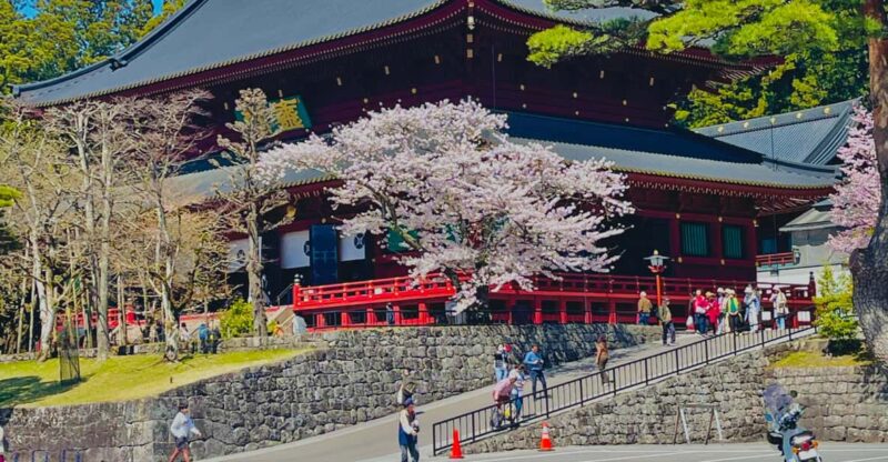 Hakone: Full Day Private Tour With English Speaking Guide - Unique Activities
