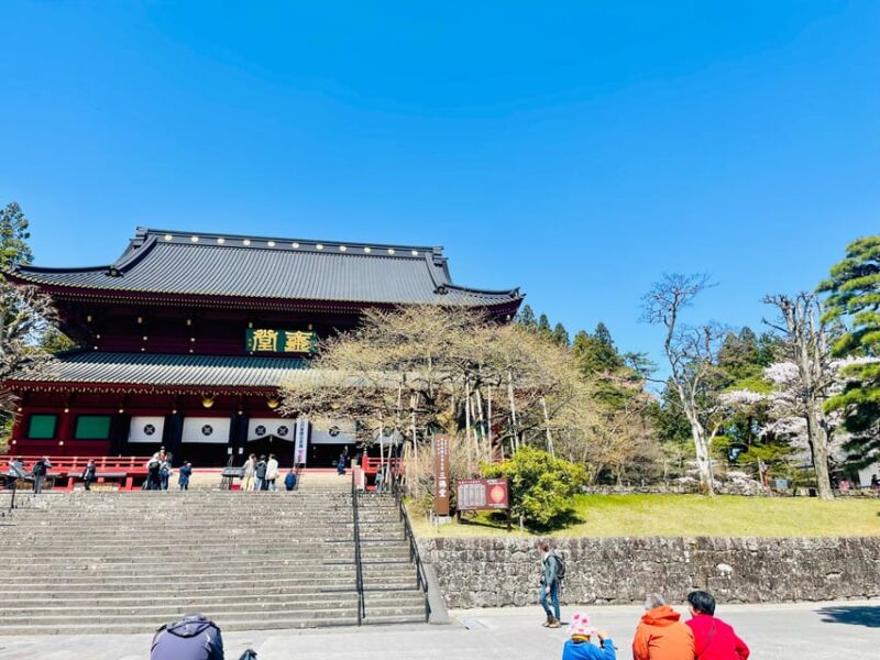 Hakone: Full Day Private Tour With English Speaking Guide - Important Considerations