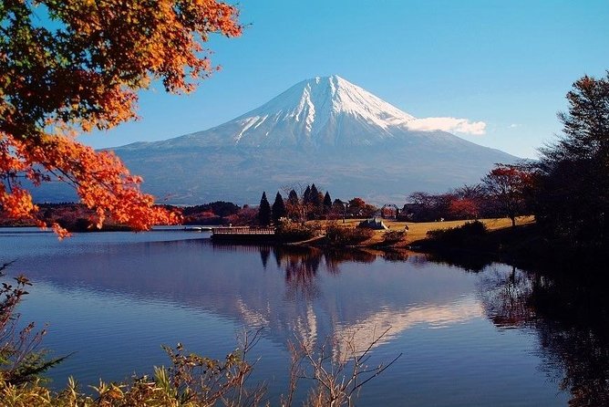 Hakone Full-Day Private Tour(Tokyo Dep.) With Government-Licensed Guide - Tour Restrictions