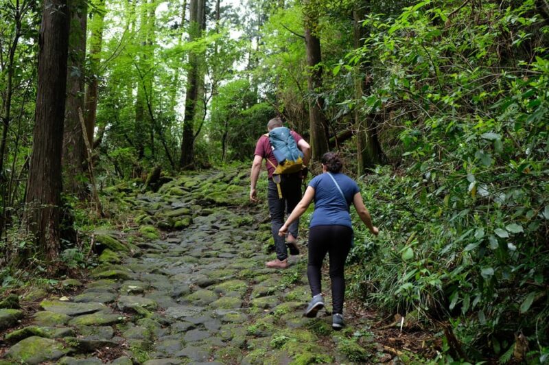 Hakone Hachiri: Old Tokaido Highway Hiking Half-Day Tour - Itinerary Highlights