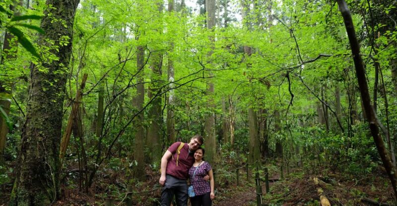 Hakone Hachiri: Old Tokaido Highway Hiking Half-Day Tour - Experience and Insights