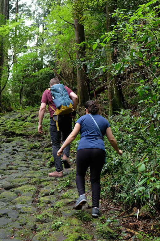 Hakone Hachiri: Old Tokaido Highway Hiking Half-Day Tour - Customer Feedback