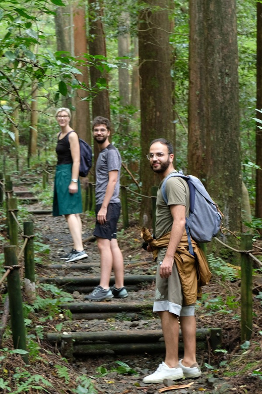 Hakone Hachiri: Old Tokaido Highway Hiking Tour - Key Highlights