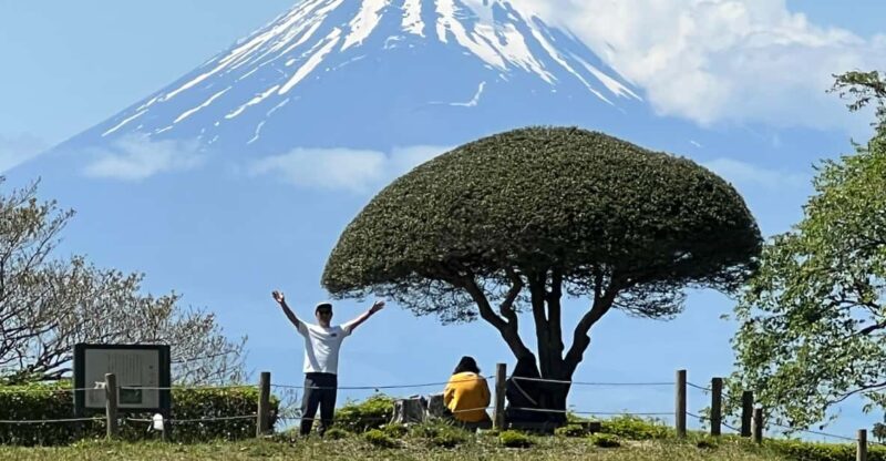 Hakone Hachiri: Old Tokaido Highway Hiking Tour - Included in the Tour